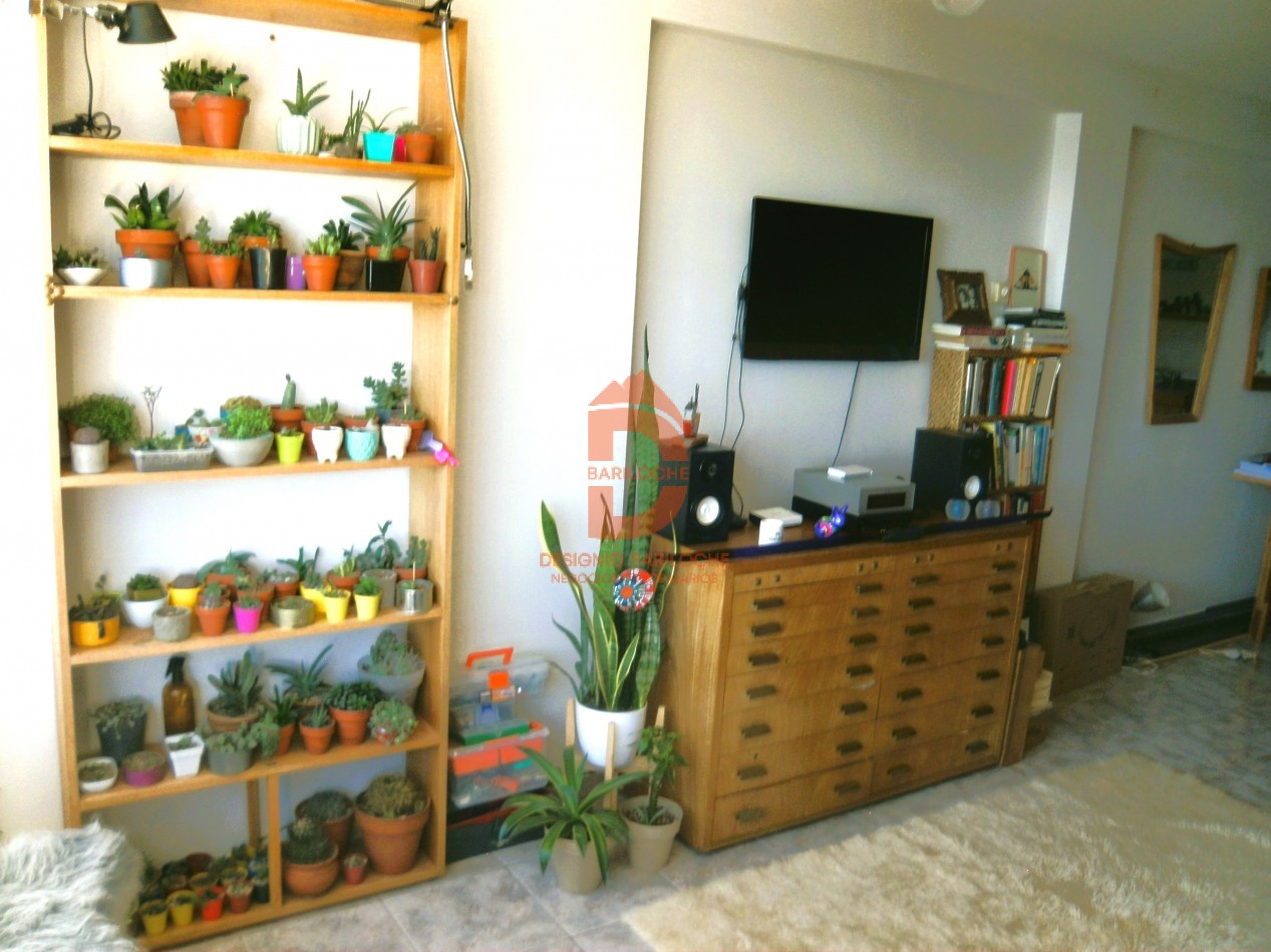 DPTO. MONOAMBIENTE CON VISTA AL LAGO